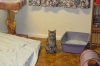 dsc_0003 small.jpg