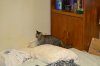 dsc_0006 small.jpg