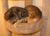 DSC03571.JPG