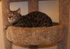 DSC03643.JPG