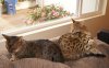 DSC03648.JPG