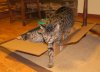 DSC03691.JPG