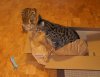 DSC03699.JPG