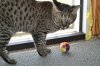 dsc_0020 small.jpg