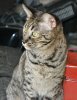 dsc_0031 crop.jpg