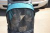 dsc_0010 small.jpg