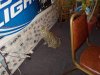 DSCN0576.JPG