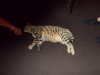 DSCN0581.JPG