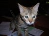 DSCN0506.JPG