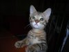 DSCN0510.JPG