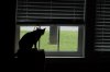 BirdWatching-2.JPG
