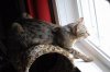 BirdWatching-8.JPG