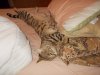 DSCN0635.JPG