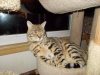 DSCN0637.JPG