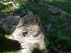 DSCN0652.JPG