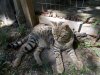 DSCN0653.JPG