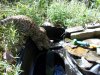 DSCN0660.JPG