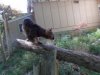 DSCN0664.JPG