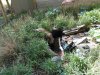 DSCN0666.JPG