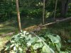 DSCN0680.JPG