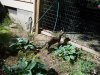 DSCN0684.JPG