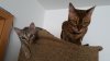 20150518_115802.jpg