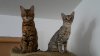 20150519_192349.jpg