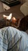 20150524_190335.jpg