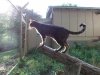 DSCN0754.JPG