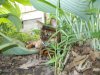 DSCN0760.JPG