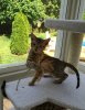 2015-05-24 16.41.26.jpg