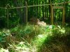 DSCN0483.JPG