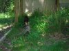 DSCN0535.JPG