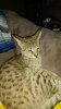 20150531_191612.jpg