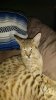 20150531_191808.jpg