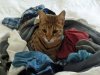 laundry.jpg
