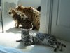 sharing sun spot.jpg