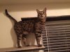 ImageUploadedByTapatalk1434227493.761007.jpg ImageUploadedByTapatalk1434227493.761007.jpg
