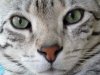6-14-2015 close up.jpg