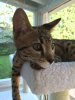 2015-06-13 17.46.47 HDR.jpg