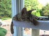 2015-06-13 17.59.45 HDR.jpg