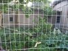 DSCN0788.JPG