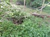 DSCN0792.JPG