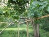 DSCN0793.JPG