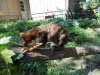 DSCN0809.JPG