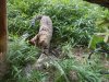 DSCN0813.JPG