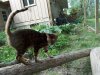 DSCN0814.JPG