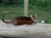 DSCN0818.JPG