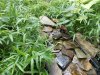 DSCN0823.JPG