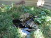 DSCN0695.JPG